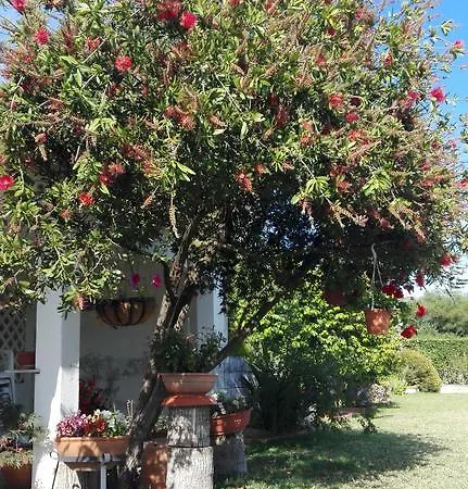 Quinta Santa Ana Setubal
